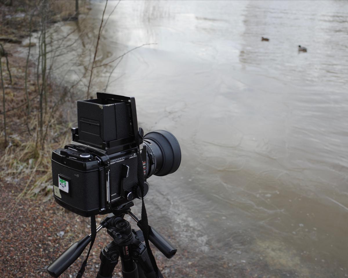 A medium-format camera on a tripod on a shore. There are two mallards swimming in the sea in the background.