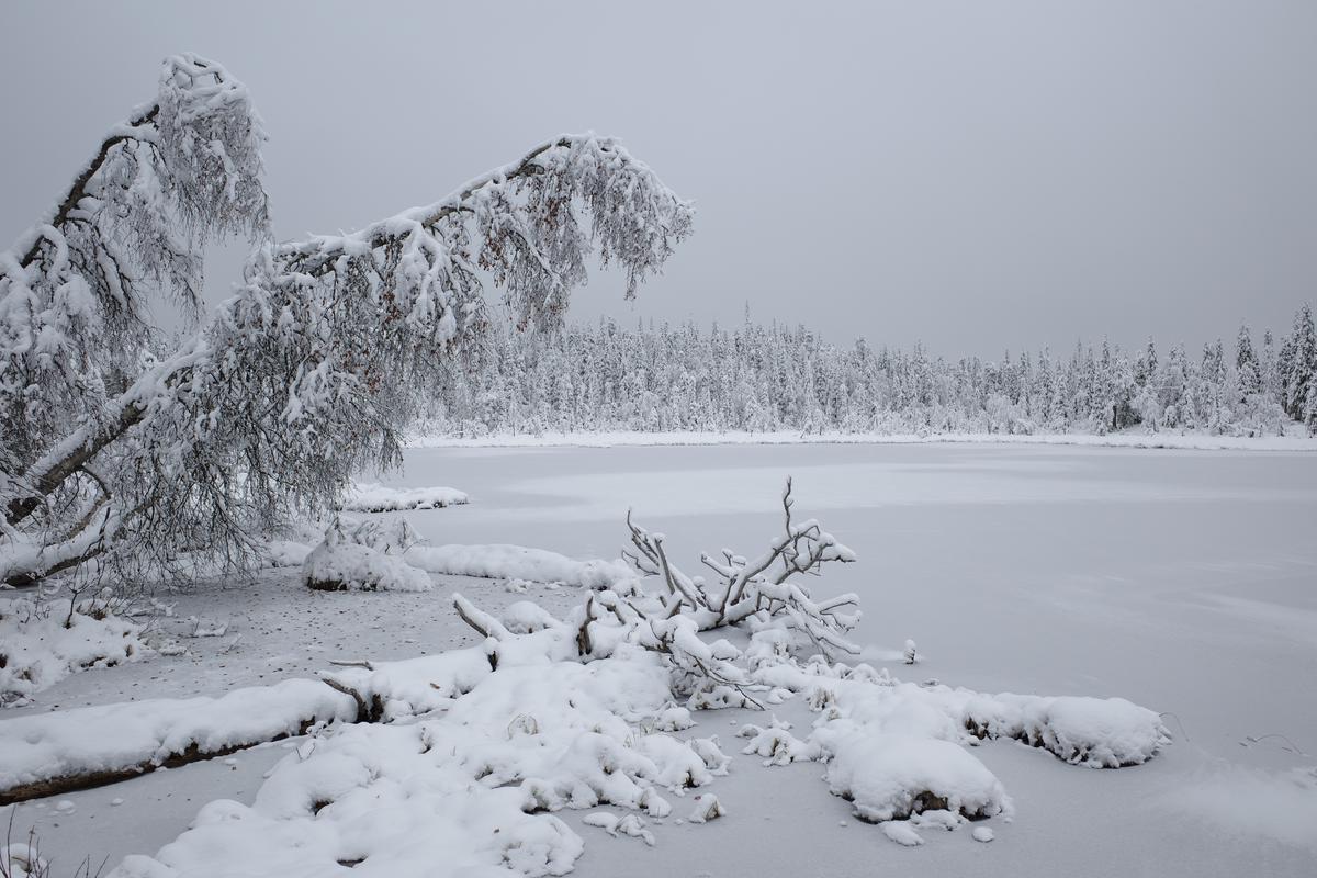 Snow-covered trees hang over a frozen lake