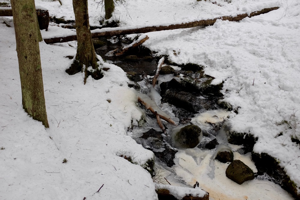 Water forces its way through the forest in Nuuksio.