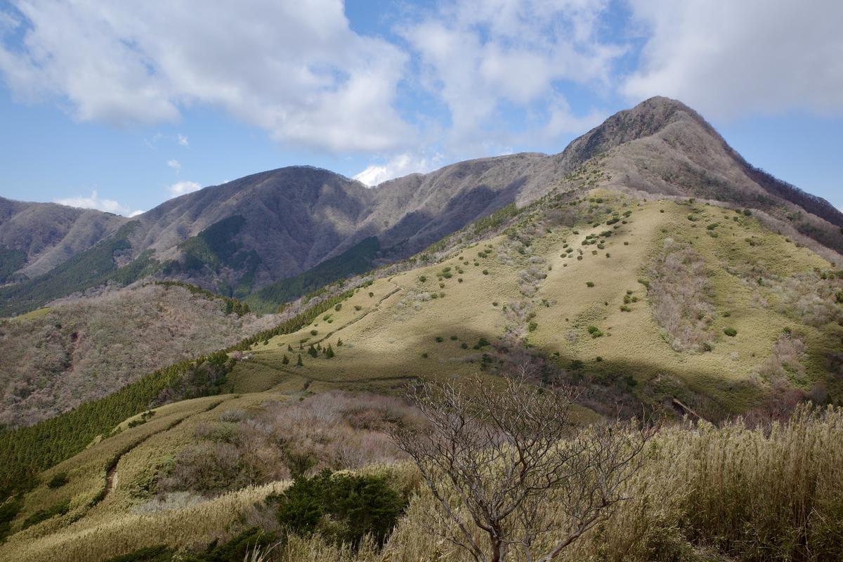 Shadows from clouds on the slopes of a Japanese mountain in spring.