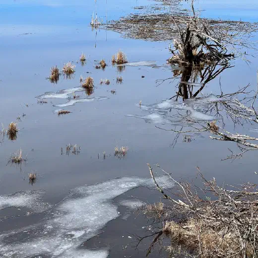 Schema migrations and avoiding downtime