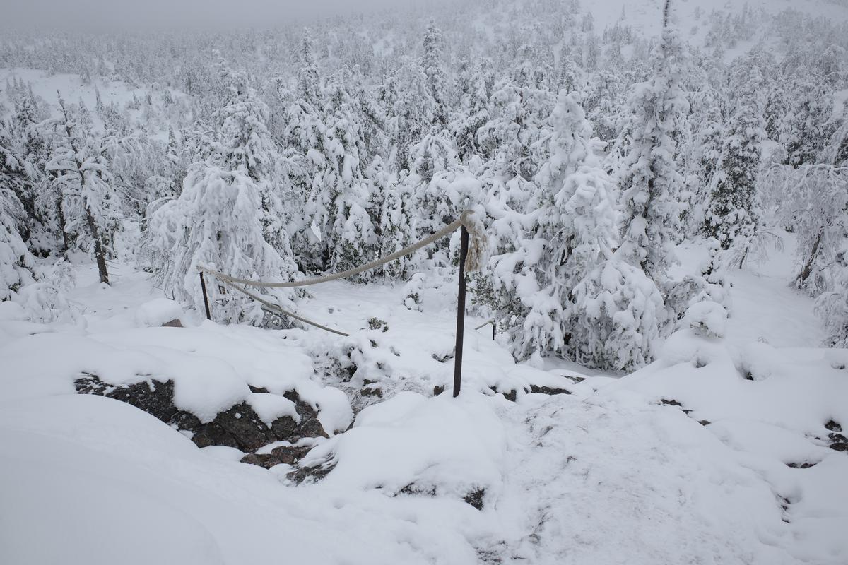 A path amid rocks and snow-covered trees. There's a rope handrail next to the path.