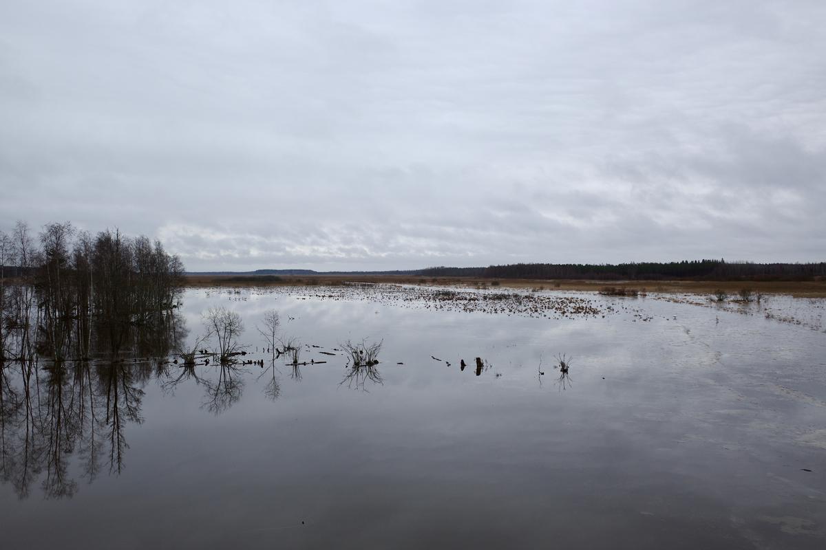 The barren scenery of frozen Lake Puurijärvi.