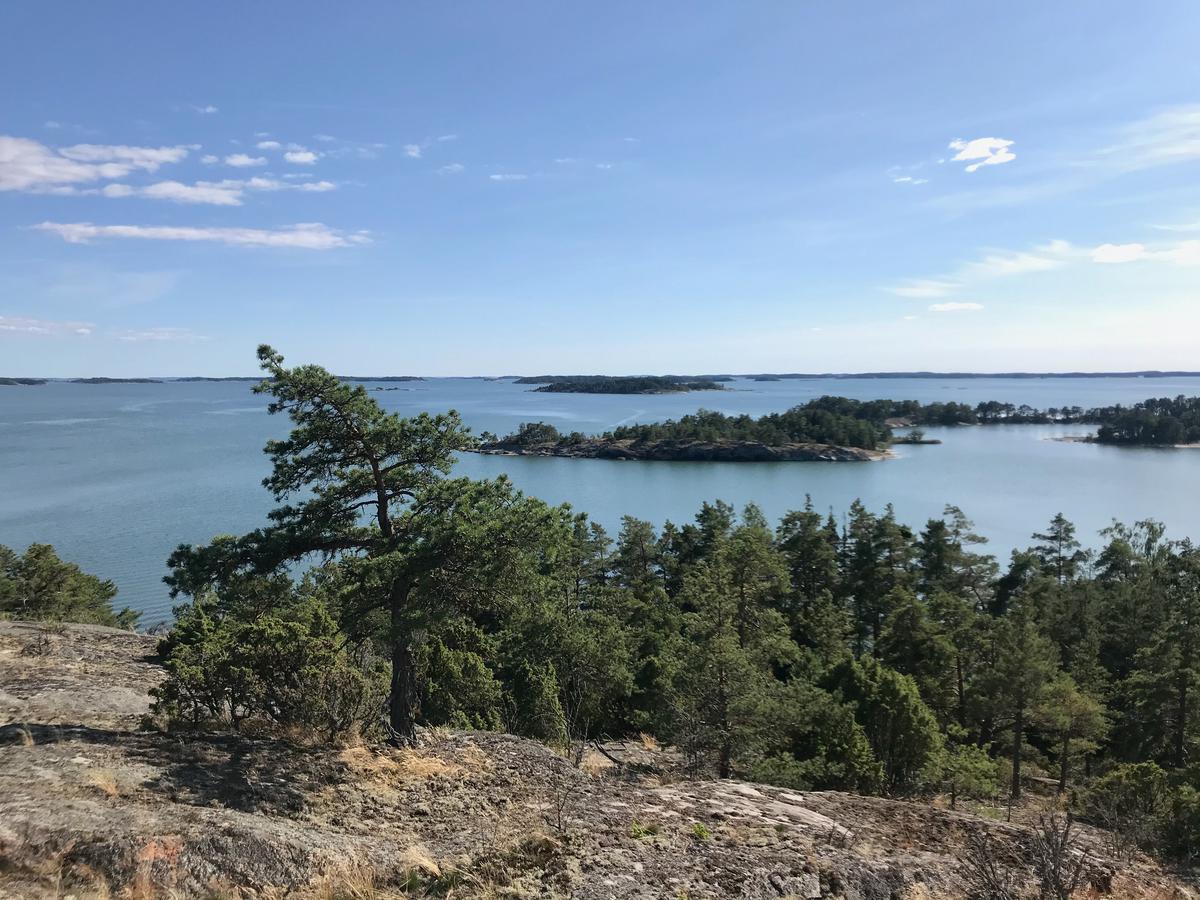 A view from a hill on an island. There's rock and trees in the front and forest-covered small island in the sea in the back.