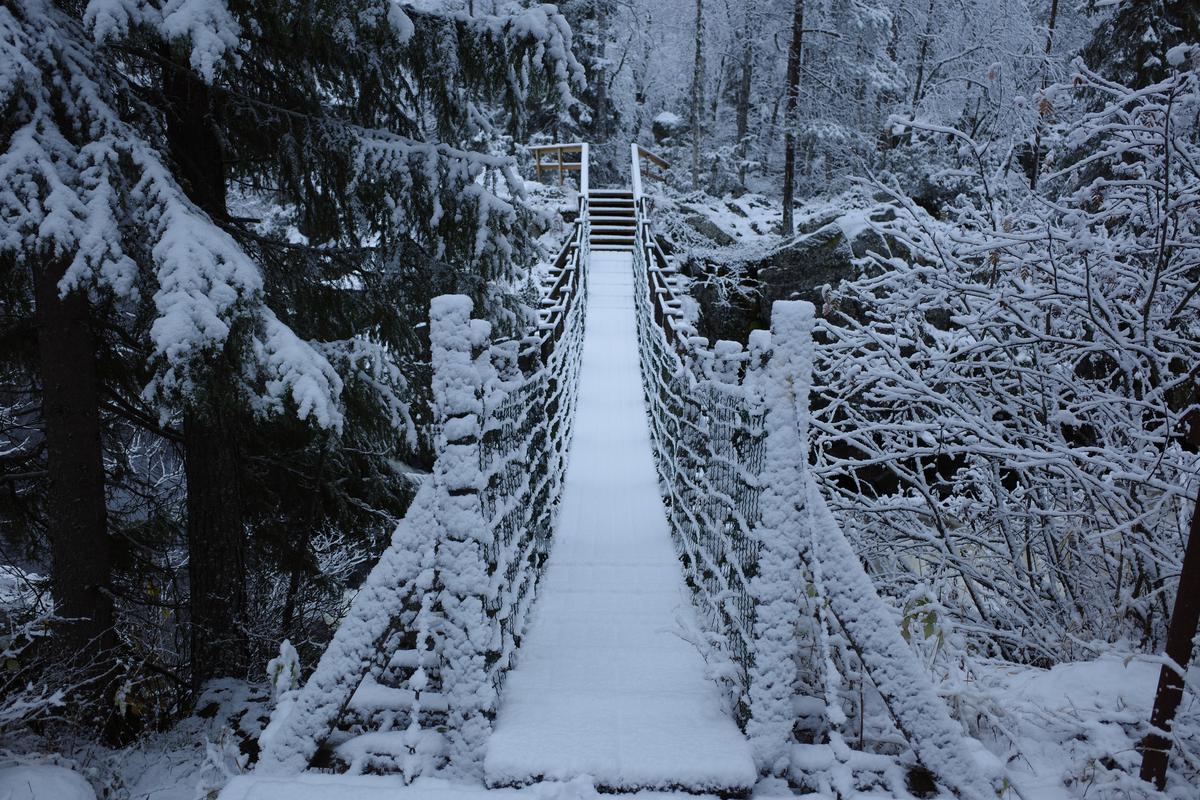 Rope bridge going over Taivalköngäs