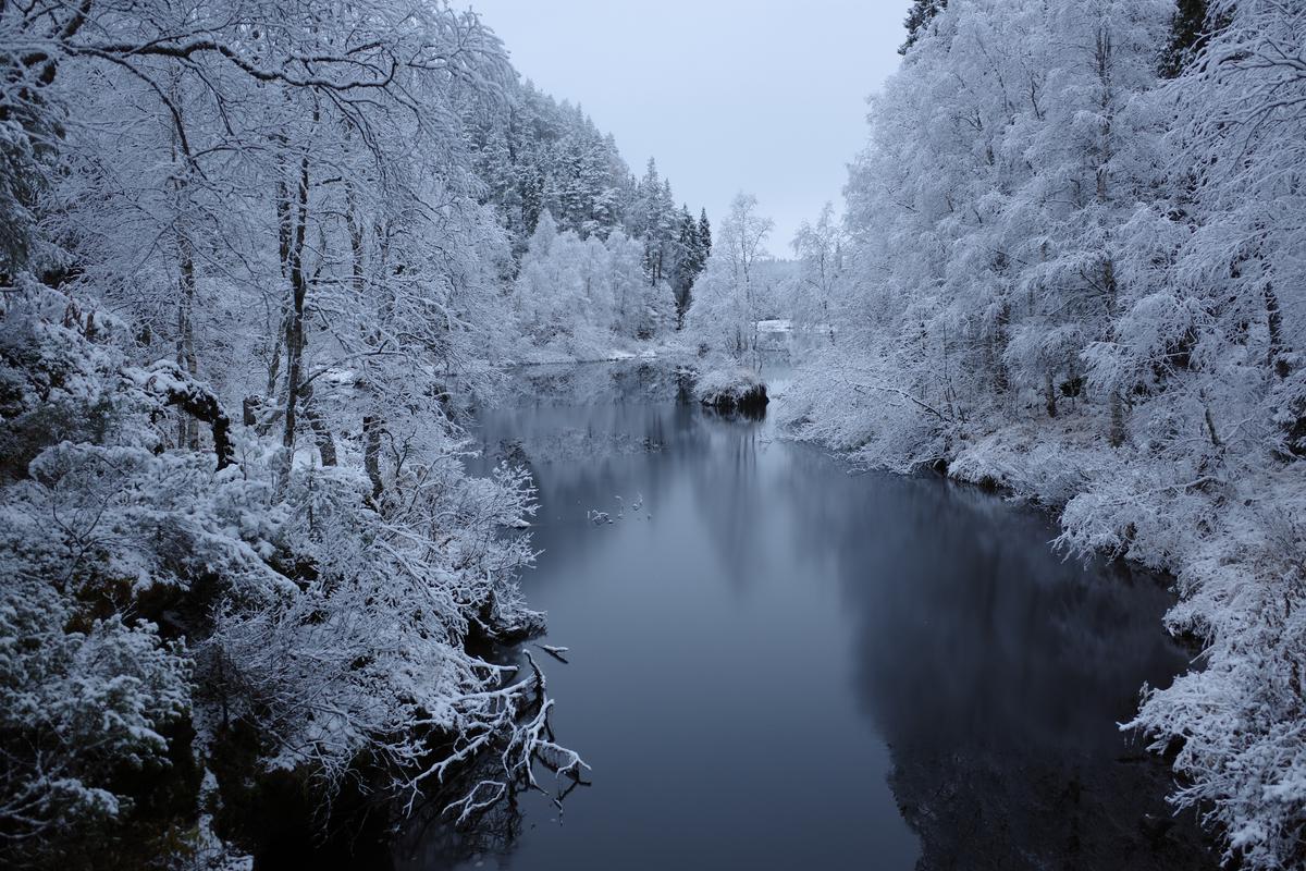 Serene snowy scenery