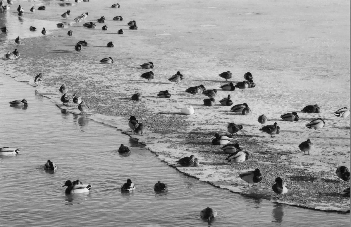I’m trying to get my Clojure testing ducks in a row.